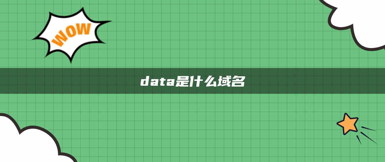 data是什么域名