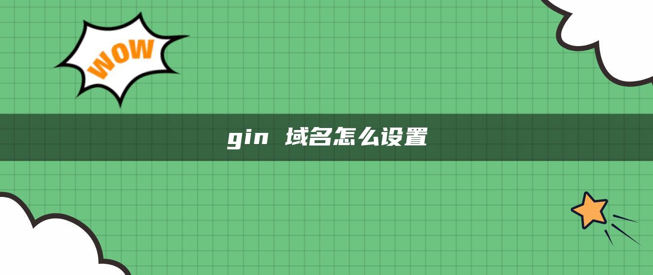 gin 域名怎么设置