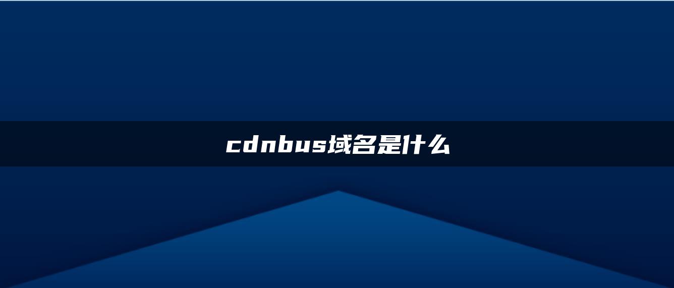 cdnbus域名是什么