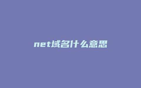 net域名什么意思